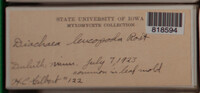 Image Associated With the Occurence
